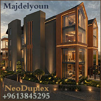 NeoDuplex