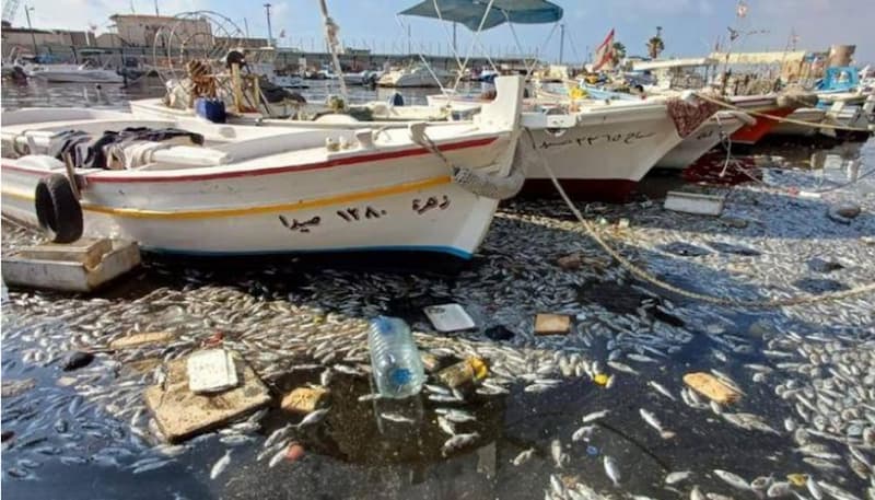 شاطئ صيدا غير صالح للسباحة! شاطئ صيدا غير صالح للسباحة!