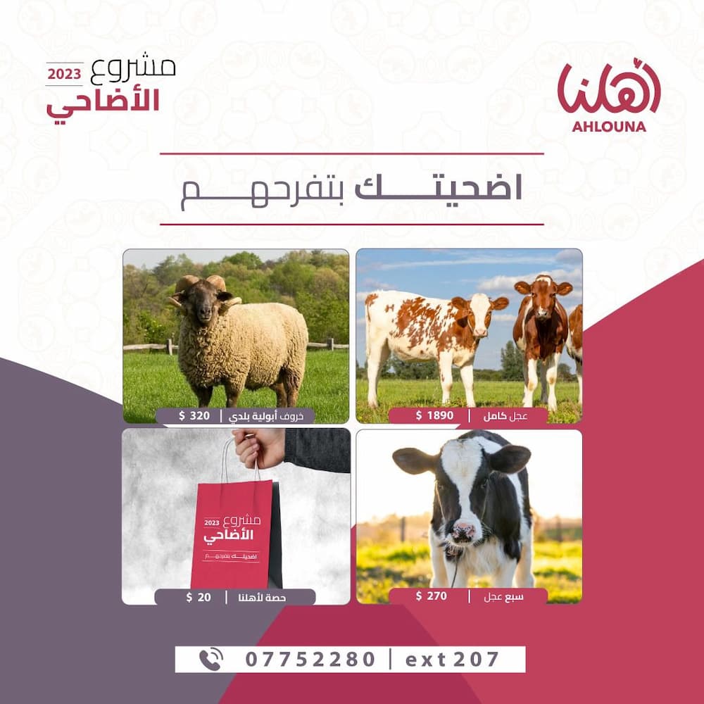 أهلنا تطلق مشروع الأضاحي 2023 تحت شعار "أضحيتك بتفرّحهم" أهلنا تطلق مشروع الأضاحي 2023 تحت شعار "أضحيتك بتفرّحهم"