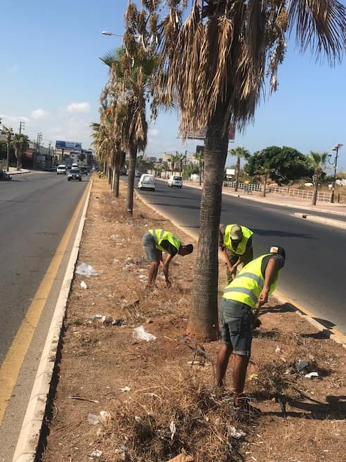 إطلاق مبادرة جديدة لتنظيف وتعشيب الوسطيات إطلاق مبادرة جديدة لتنظيف وتعشيب الوسطيات