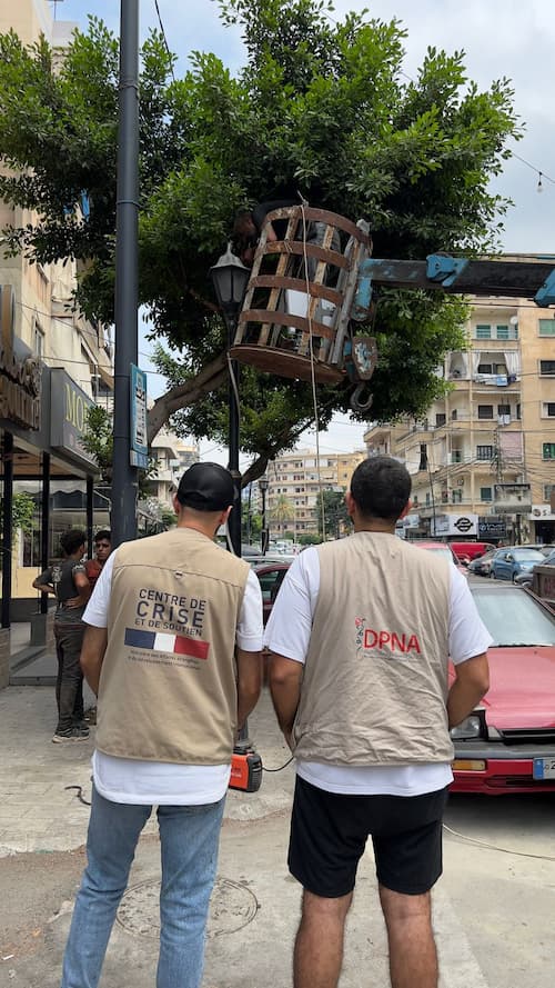 إنارة حي ساحة القدس بالطاقة الشمسية إنارة حي ساحة القدس بالطاقة الشمسية