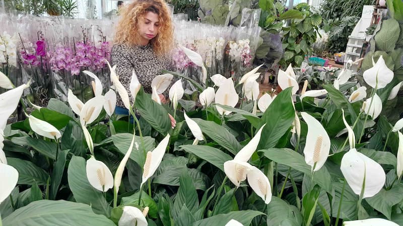 الربيع عنّا.. مبلش بكير ولـ "ست الحبايب" أحلى هدية: Yara الربيع عنّا.. مبلش بكير ولـ "ست الحبايب" أحلى هدية: Yara