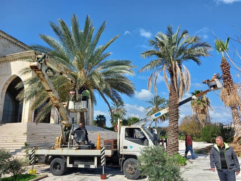 حملة نظافة وتشحيل أشجار النخيل وصيانة ورش مبيدات في قصر عدل صيدا حملة نظافة وتشحيل أشجار النخيل وصيانة ورش مبيدات في قصر عدل صيدا