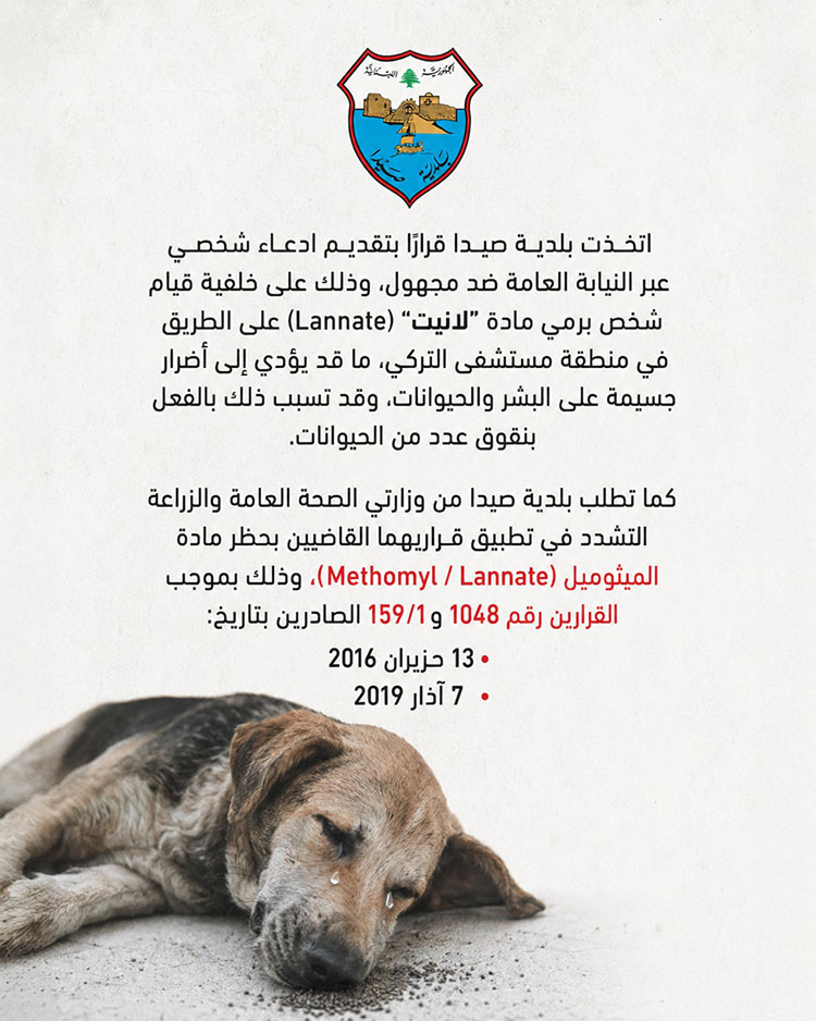 بلدية صيدا تتخذ إجراءات قانونية ضد مجهول على خلفية رمي مادة لانيت السامة بلدية صيدا تتخذ إجراءات قانونية ضد مجهول على خلفية رمي مادة لانيت السامة