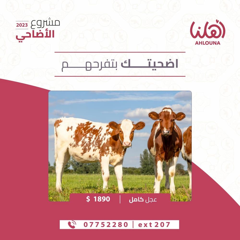 أهلنا تطلق مشروع الأضاحي 2023 تحت شعار "أضحيتك بتفرّحهم" أهلنا تطلق مشروع الأضاحي 2023 تحت شعار "أضحيتك بتفرّحهم"