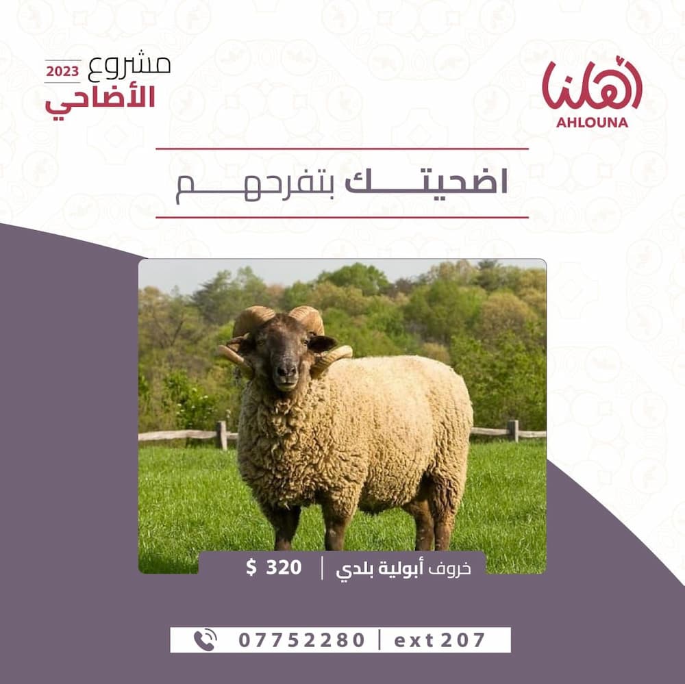 أهلنا تطلق مشروع الأضاحي 2023 تحت شعار "أضحيتك بتفرّحهم" أهلنا تطلق مشروع الأضاحي 2023 تحت شعار "أضحيتك بتفرّحهم"