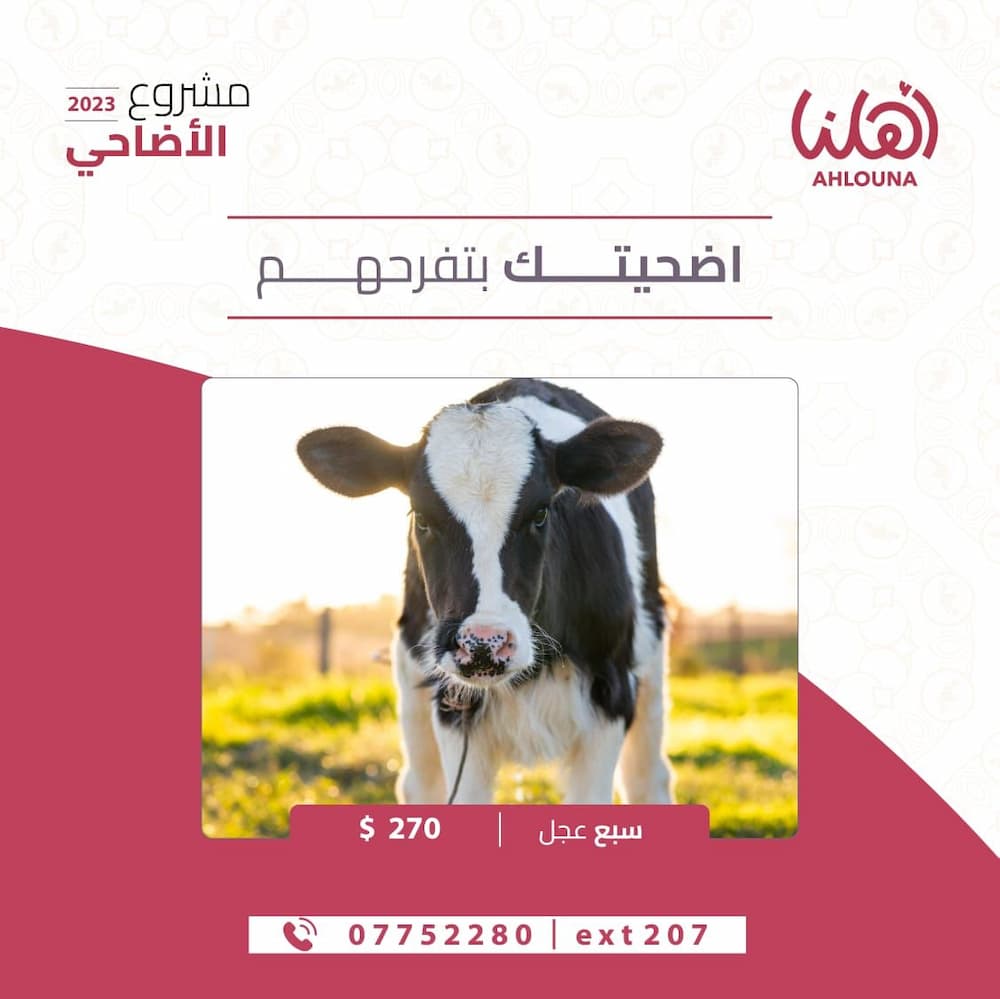 أهلنا تطلق مشروع الأضاحي 2023 تحت شعار "أضحيتك بتفرّحهم" أهلنا تطلق مشروع الأضاحي 2023 تحت شعار "أضحيتك بتفرّحهم"